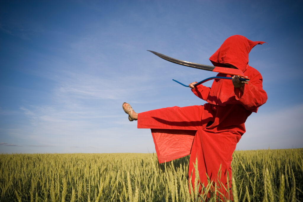 Face Swap Free Video