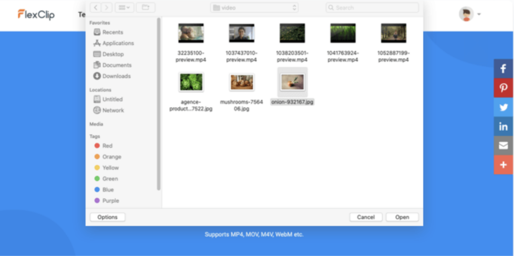 Screenshot 2025-05-18 at 233251 flexclip