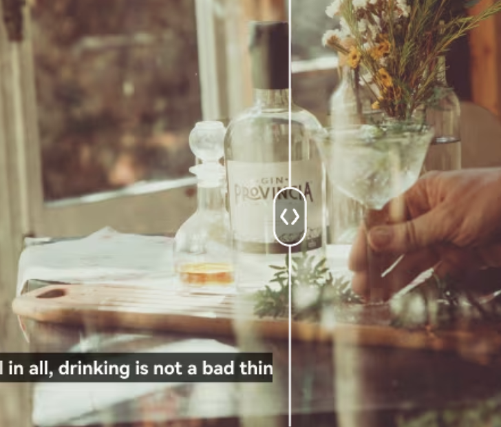 Screenshot 2025-05-26 at 123029 – VidAU.ai Video Watermark Remover