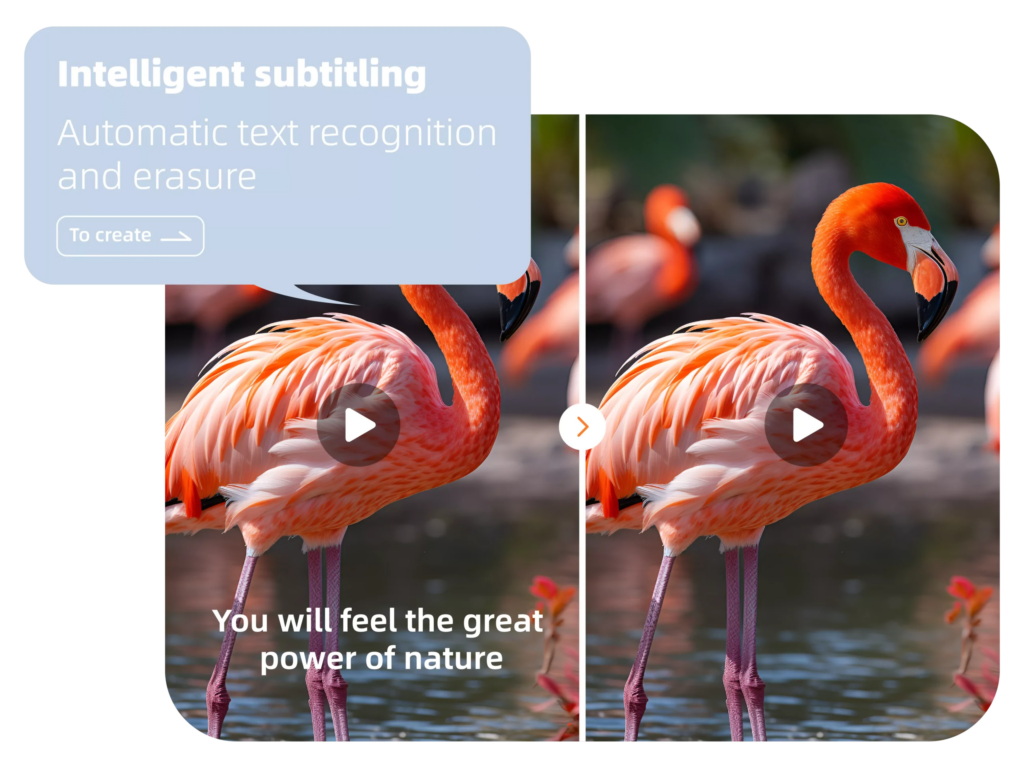 how to remove subtitles from a video