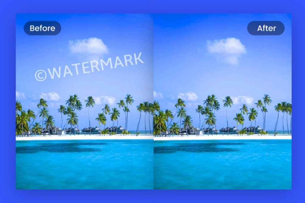 image – VidAU.ai remove subtitles from video
