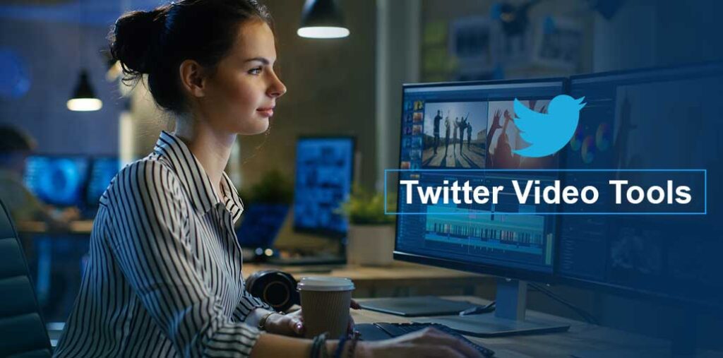 Twitter-Video-Tools – VidAU.ai twitter video tool