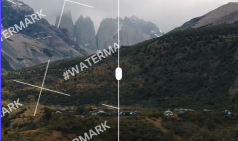 remove watermark from video 