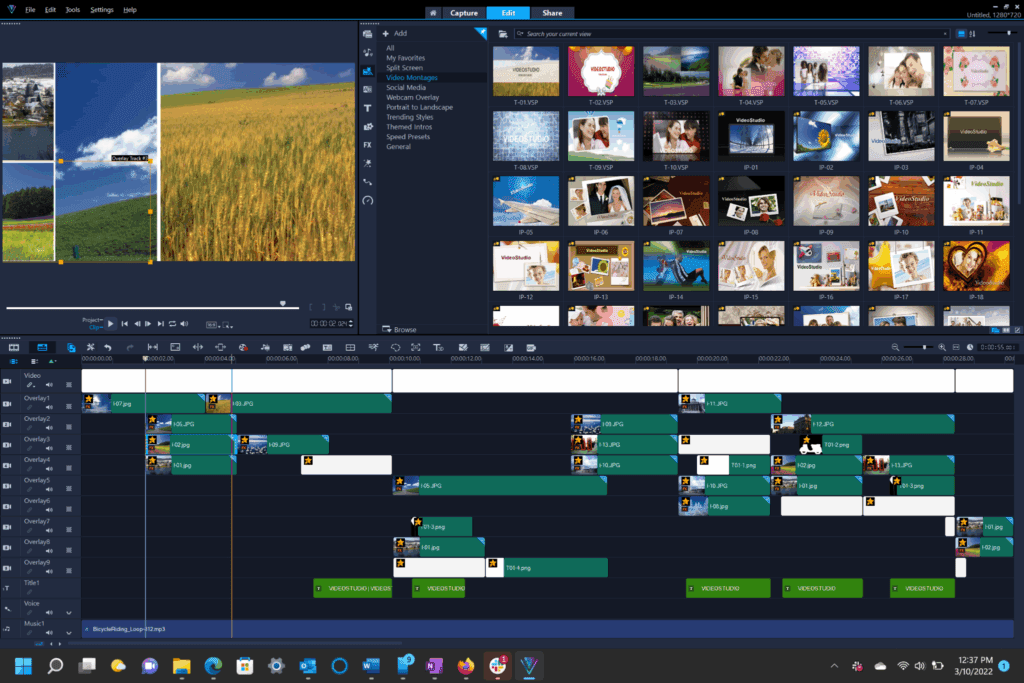 image – VidAU.ai Pairing With Good Video Editing Software