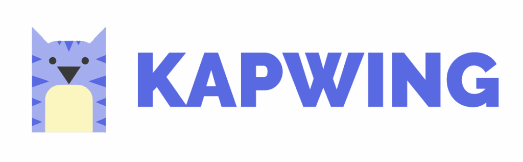 image – VidAU.ai Kapwing