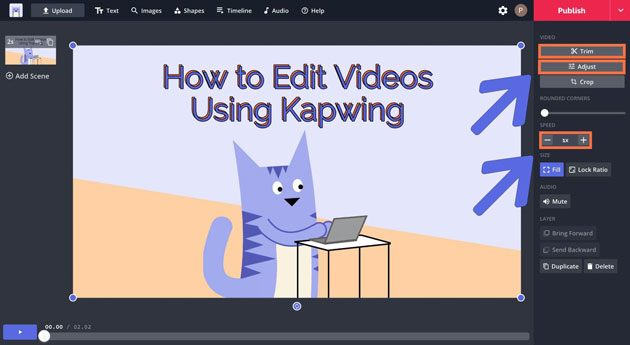 image – VidAU.ai Kapwing edit from URL