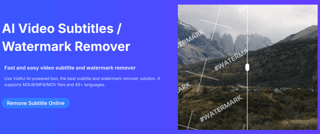 image – VidAU.ai watermark remover video