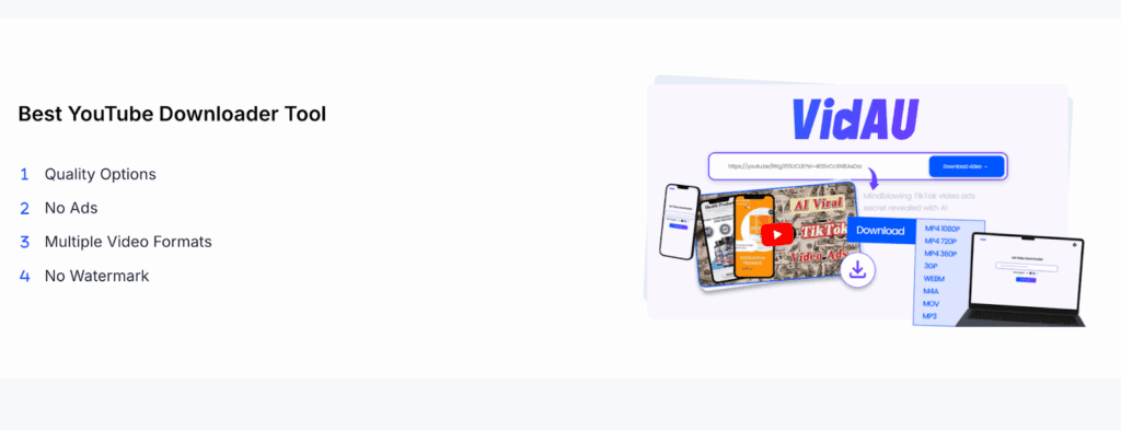 image – VidAU.ai image