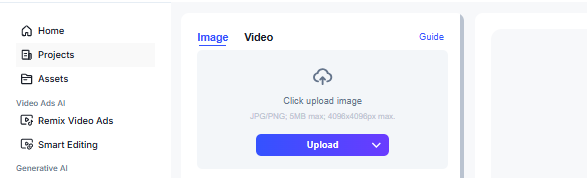 image – VidAU.ai image to choose image or Video mode