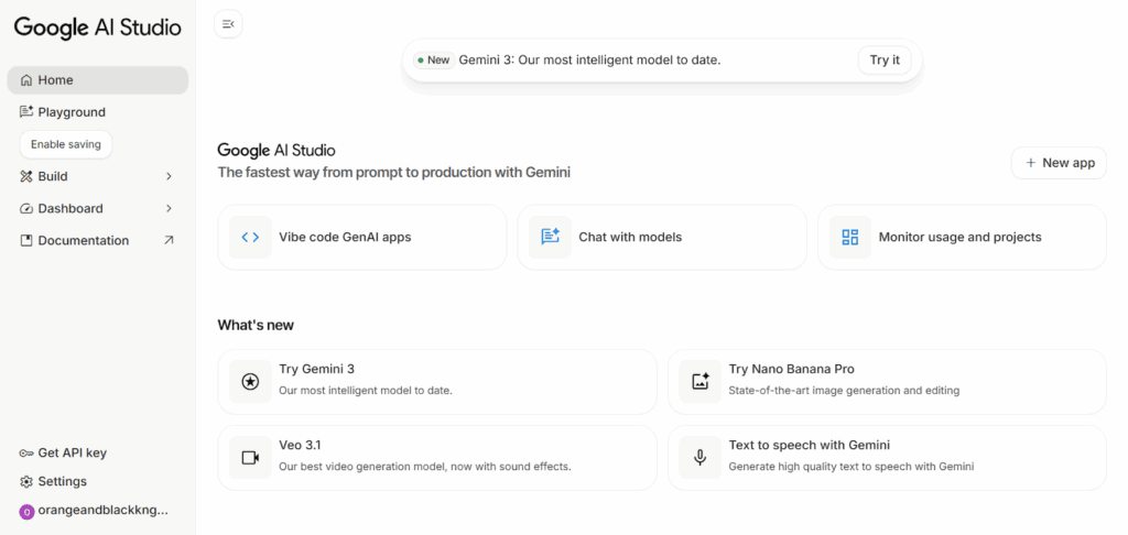 Google Gemini AI 3.0