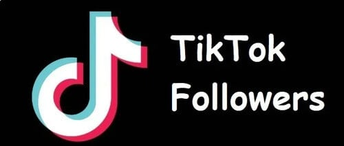 image – VidAU.ai TikTok followers free