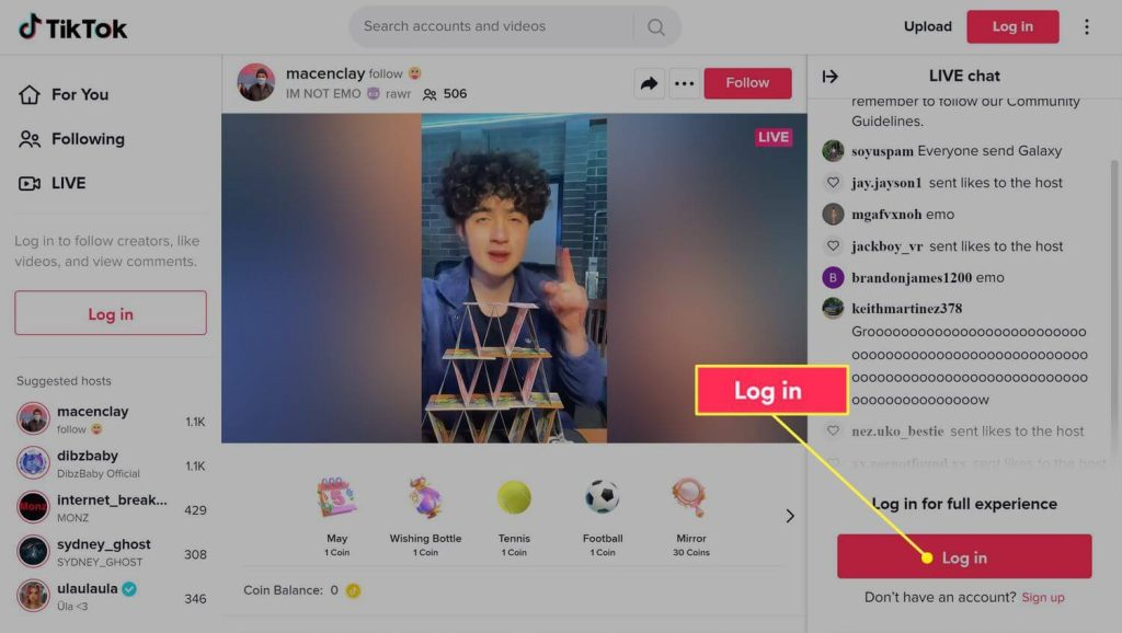image – VidAU.ai can viewer history should story on TikTok