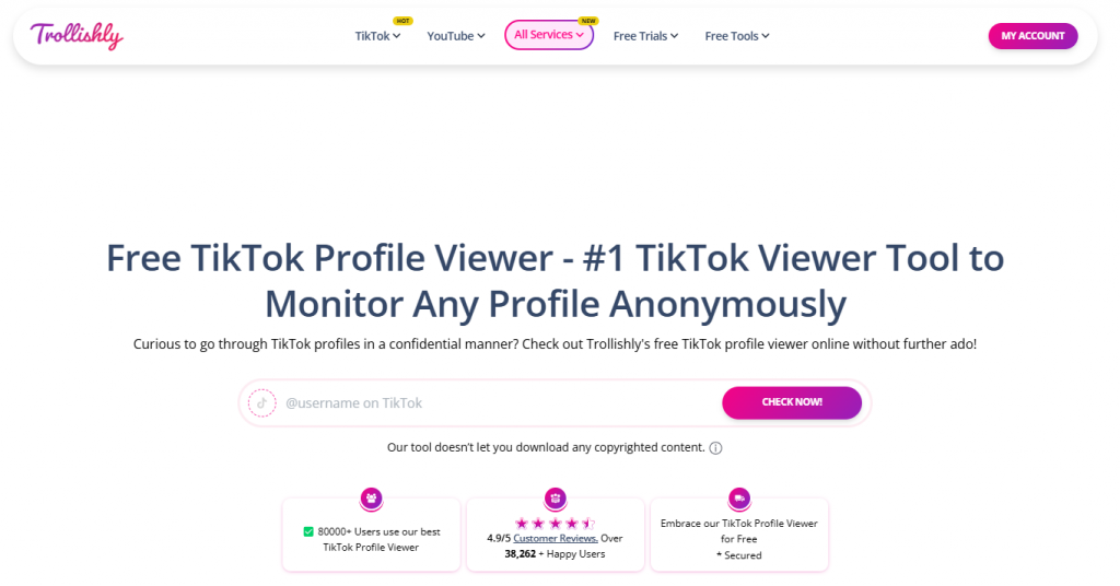 TikTok Profile Viewer
