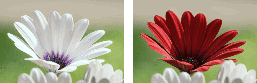 gemini ai image generator