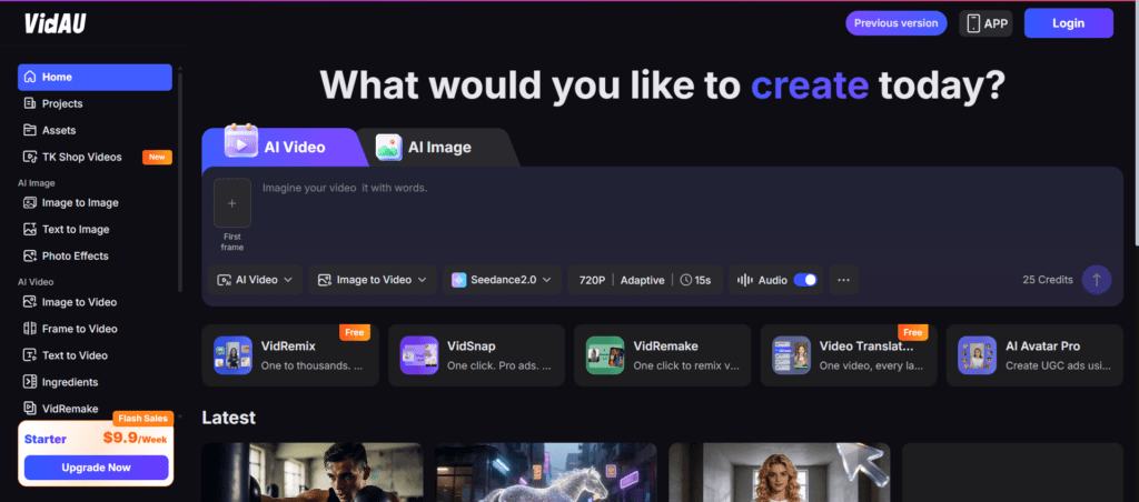 image – VidAU.ai image