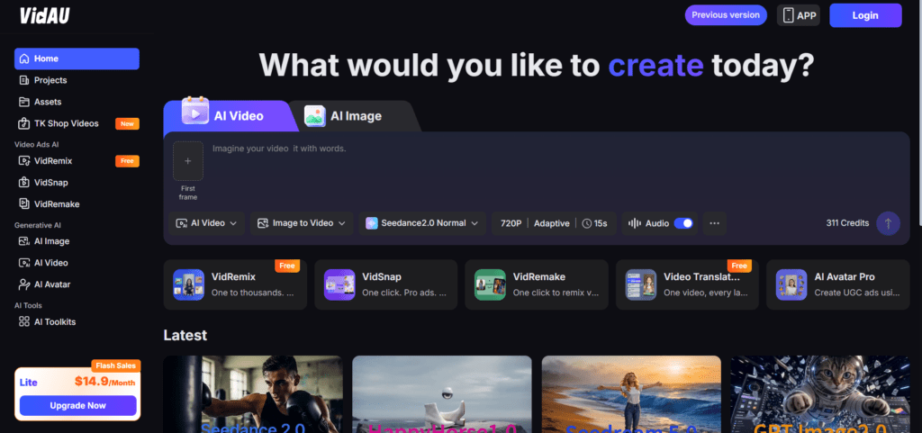 image – VidAU.ai image